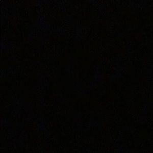 Meet your Posher, Riley